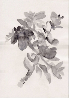 http://www.soerenhiob.com/files/gimgs/th-99_4  1.jpg